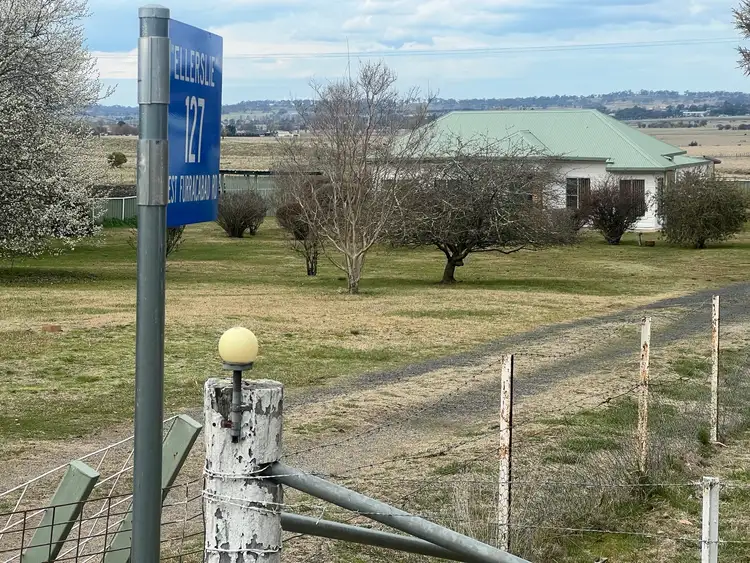Sixth view of Homely rural property listing, 127 West Furracabad Road, Glen Innes NSW 2370