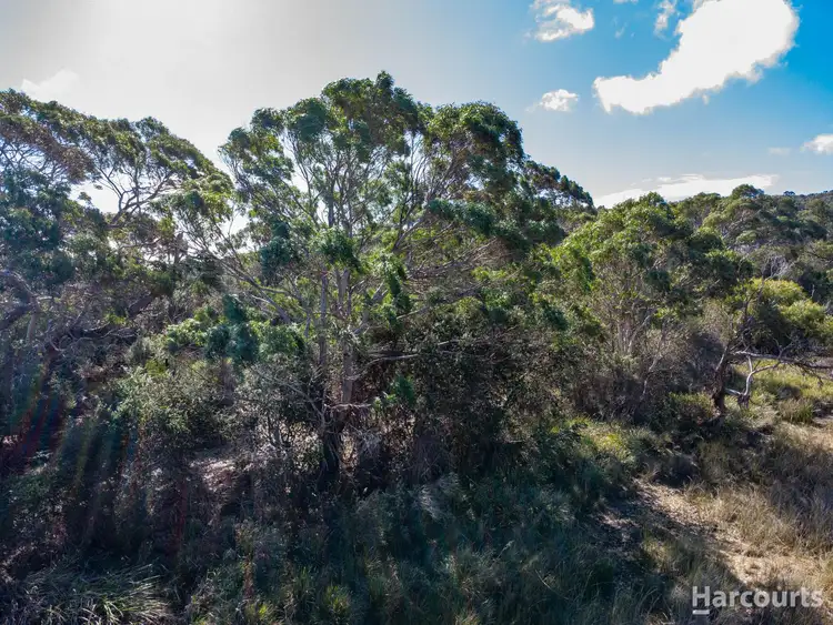 Sixth view of Homely land listing, 28 Howard Street, Bellingham TAS 7254