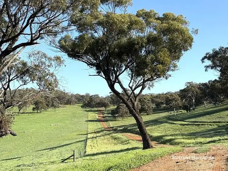 967 Northam-Toodyay Road, Katrine WA 6401