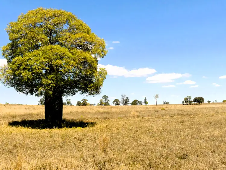 'Bendoba' 1933 Kooragan Road