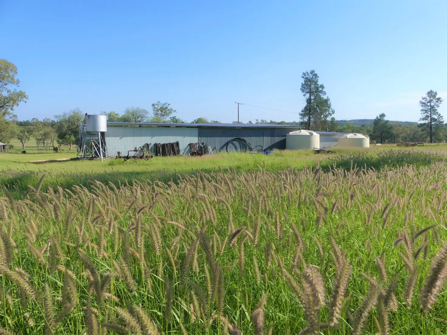 Main view of Homely rural property listing, 'Omeo' 1183 Westgrove Road, Injune QLD 4454