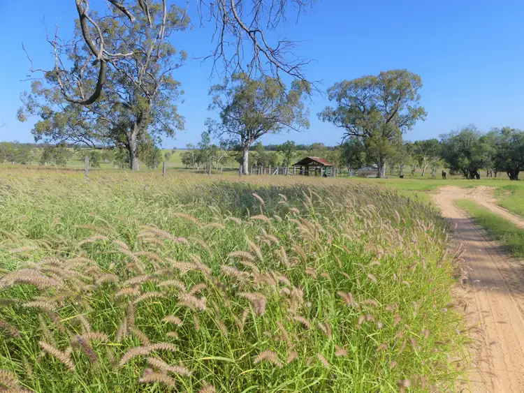 Third view of Homely rural property listing, 'Omeo' 1183 Westgrove Road, Injune QLD 4454