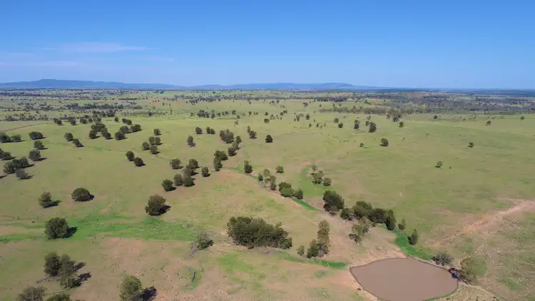 Fourth view of Homely rural property listing, 'Omeo' 1183 Westgrove Road, Injune QLD 4454