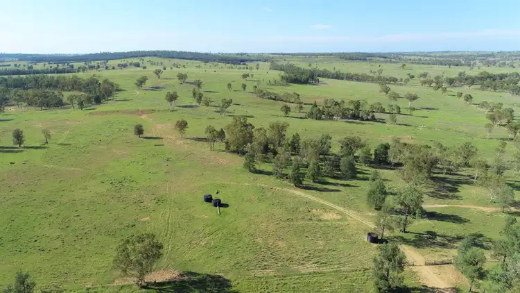Fifth view of Homely rural property listing, 'Omeo' 1183 Westgrove Road, Injune QLD 4454