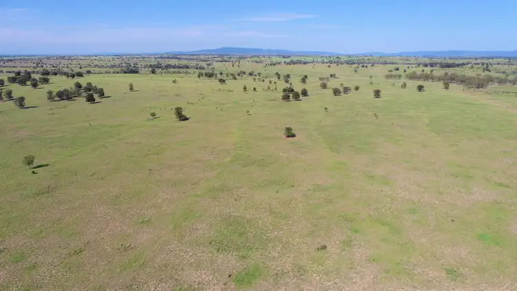 Sixth view of Homely rural property listing, 'Omeo' 1183 Westgrove Road, Injune QLD 4454