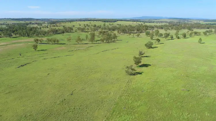 Seventh view of Homely rural property listing, 'Omeo' 1183 Westgrove Road, Injune QLD 4454