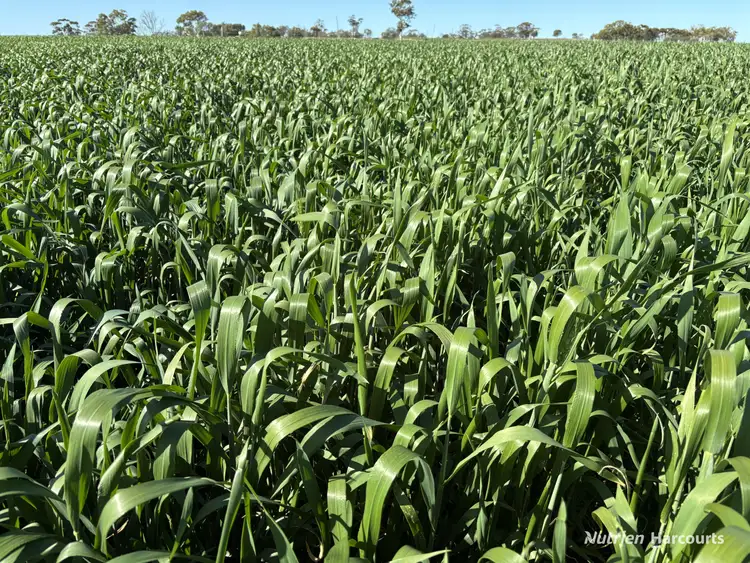 . 'Moyston', Cunderdin WA 6407