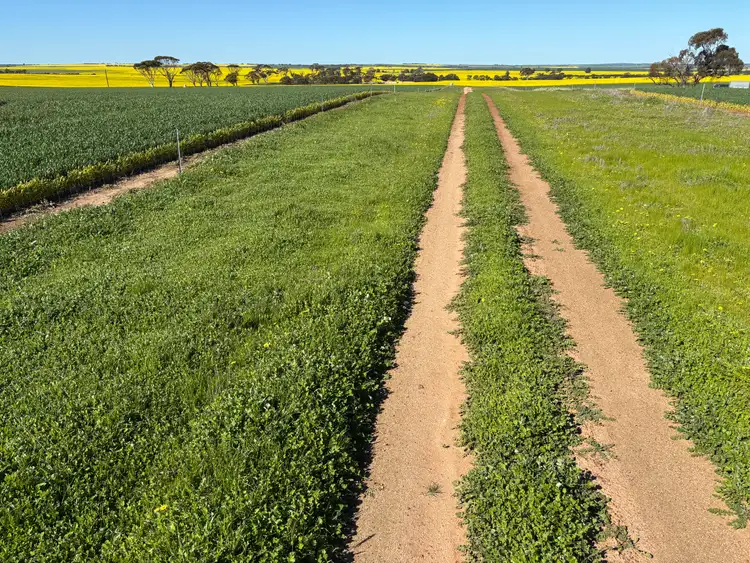 Fifth view of Homely rural property listing, . 'Moyston', Cunderdin WA 6407