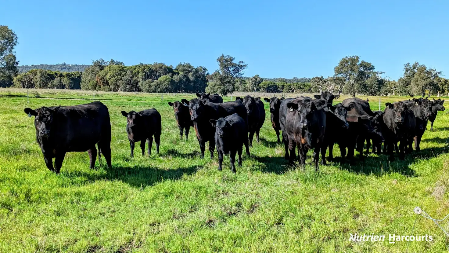 Main view of Homely rural property listing, 1298 Brand Highway, Chittering WA 6084