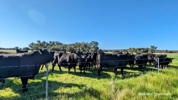 Fifth view of Homely rural property listing, 1298 Brand Highway, Chittering WA 6084