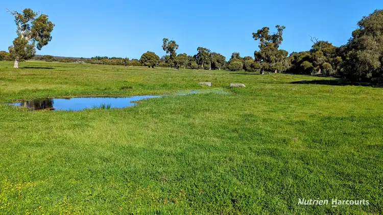 Sixth view of Homely rural property listing, 1298 Brand Highway, Chittering WA 6084