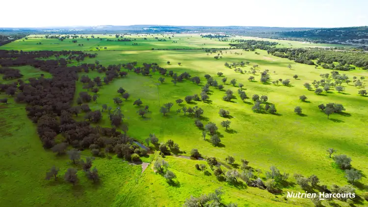 Seventh view of Homely rural property listing, 1298 Brand Highway, Chittering WA 6084