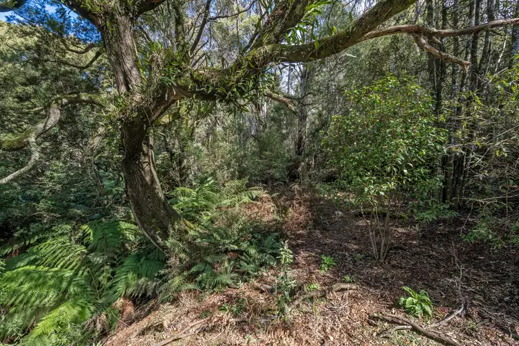 Second view of Homely rural property listing, . Meunna Road, Meunna TAS 7325