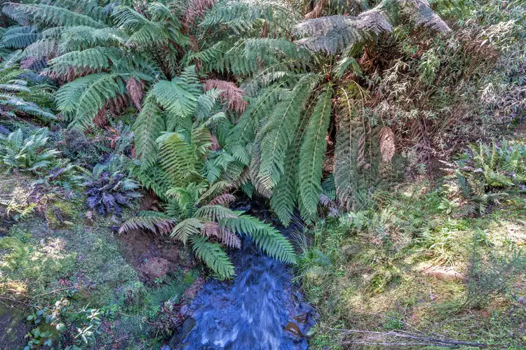 Third view of Homely rural property listing, . Meunna Road, Meunna TAS 7325