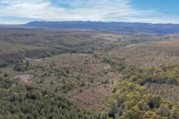 Fourth view of Homely rural property listing, . Meunna Road, Meunna TAS 7325