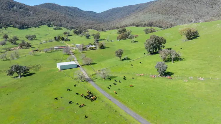 Fifth view of Homely rural property listing, 681 Ben Valley Lane, Yackandandah VIC 3749