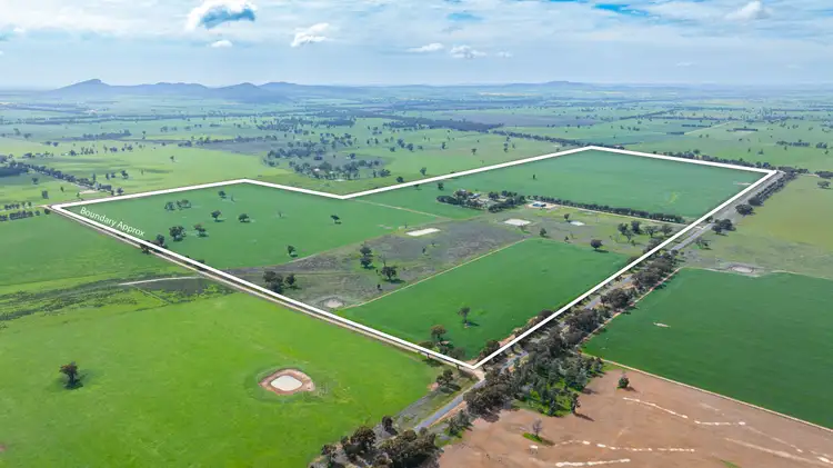 2791 Osborne Yerong Creek Road