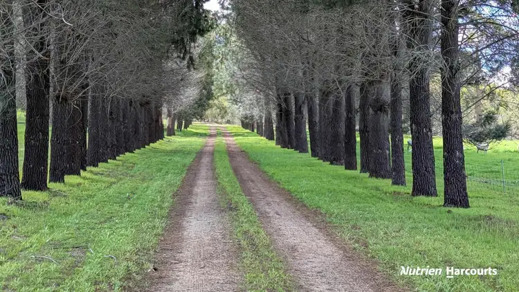 Lot 11 Woodbine Road