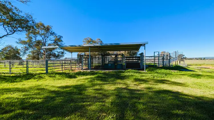 Fifth view of Homely rural property listing, 245 Bootine Road, Beermullah WA 6503