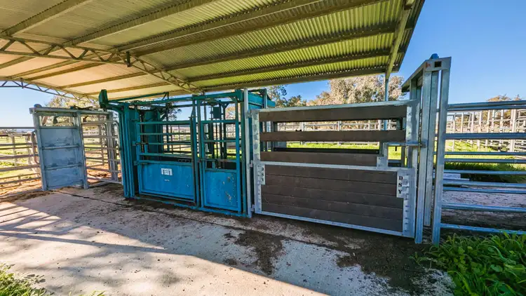 Sixth view of Homely rural property listing, 245 Bootine Road, Beermullah WA 6503