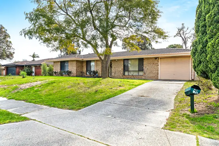 443 Marangaroo Drive, Alexander Heights WA 6064