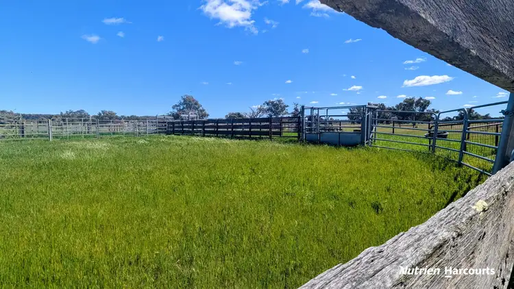Sixth view of Homely rural property listing, 2079 (Lot 53) Cowalla Road, Cowalla WA 6503