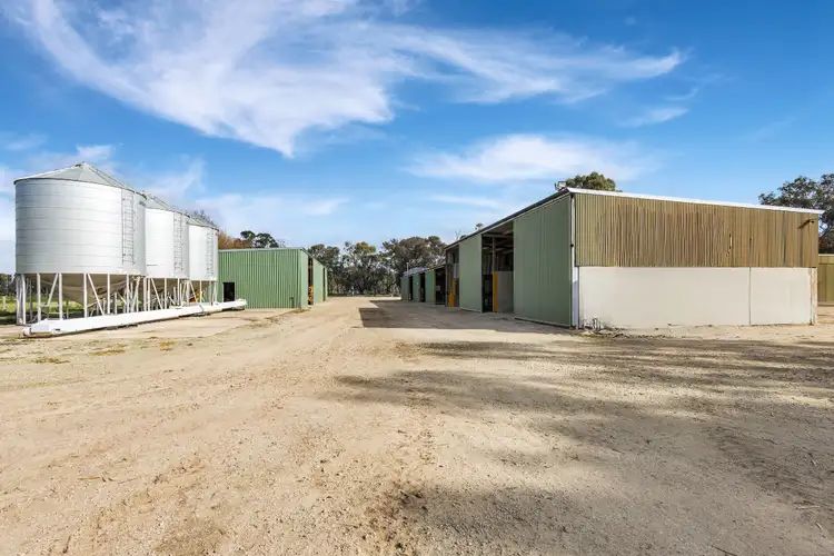 362 Thompsons Bridge Road, Gunbower VIC 3566