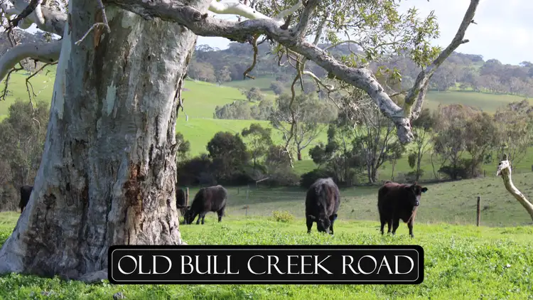 Lot 2 Old Bull Creek Rd, Strathalbyn SA 5255