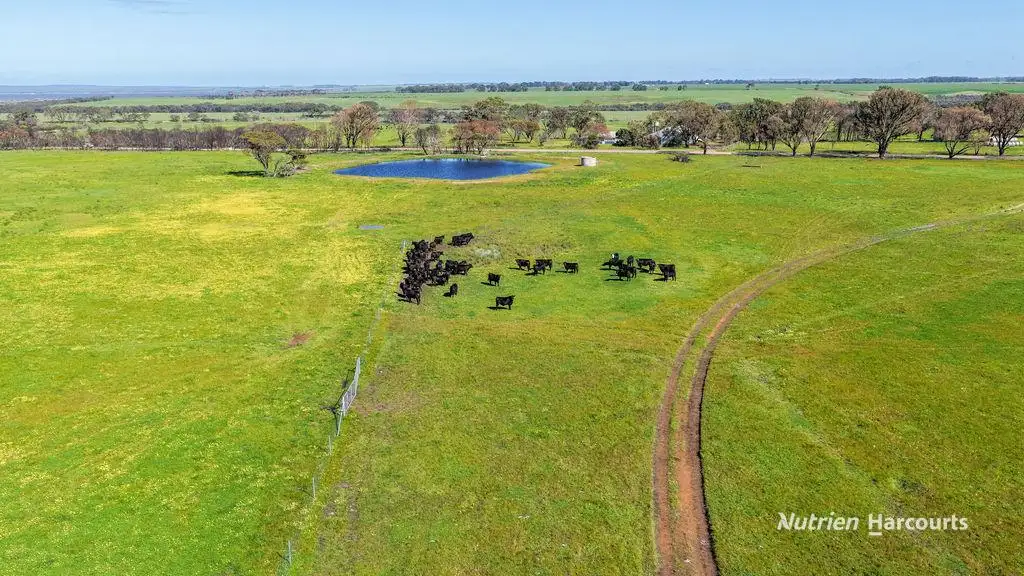 Main view of Homely rural property listing, Lots 42 & 1395 Murray Road, Dalyup WA 6450