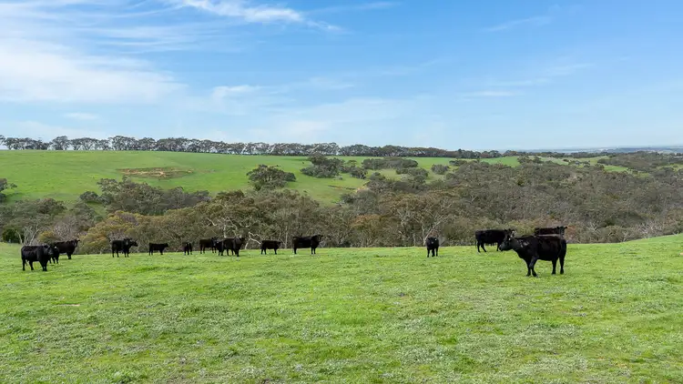 Norgrove Mount Magnificent Road