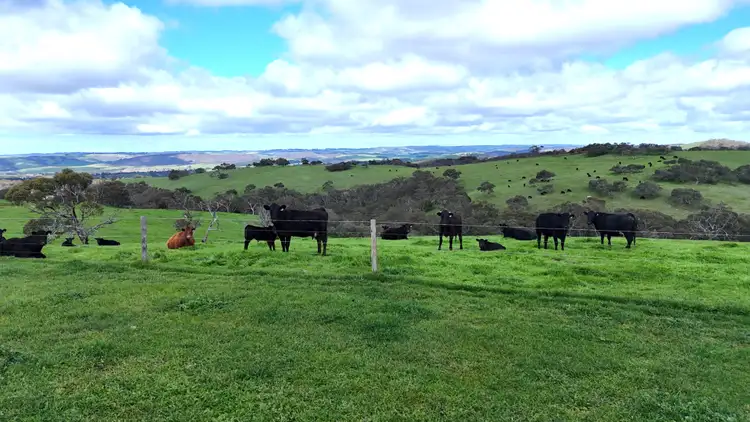 Seventh view of Homely rural property listing, Norgrove Mount Magnificent Road, Mount Magnificent SA 5210