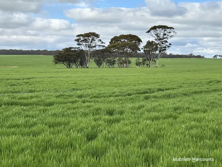 1255 Kukerin South Road, Kukerin WA 6352