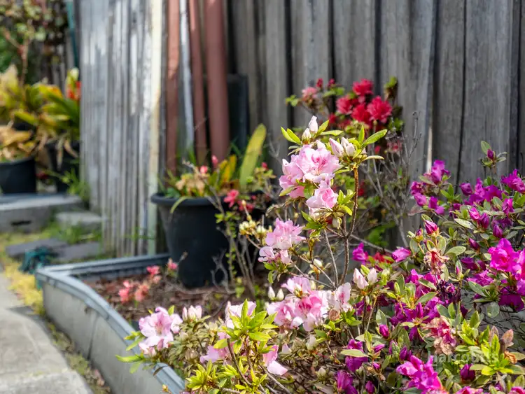 Sixth view of Homely house listing, 20 Bambra Street, Lauderdale TAS 7021