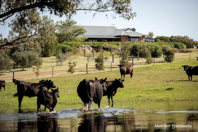 Lot 407 Telegraph Road, Monjingup WA 6450