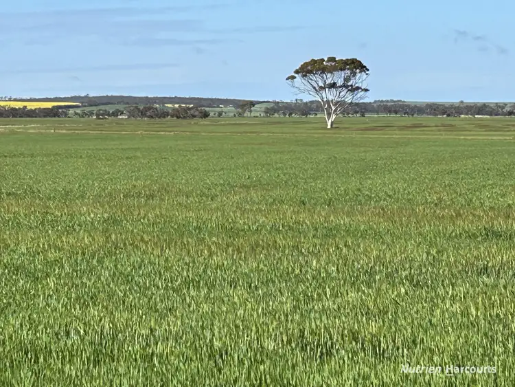 10075 Hopkins Road, Kulin WA 6365