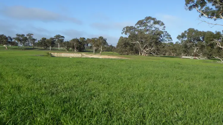 Third view of Homely rural property listing, "Wyruna" 2989 Naracoorte Road, Western Flat SA 5268