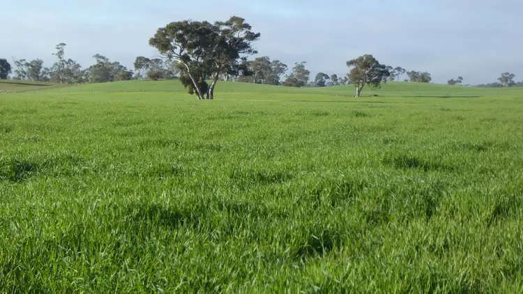 Fourth view of Homely rural property listing, "Wyruna" 2989 Naracoorte Road, Western Flat SA 5268