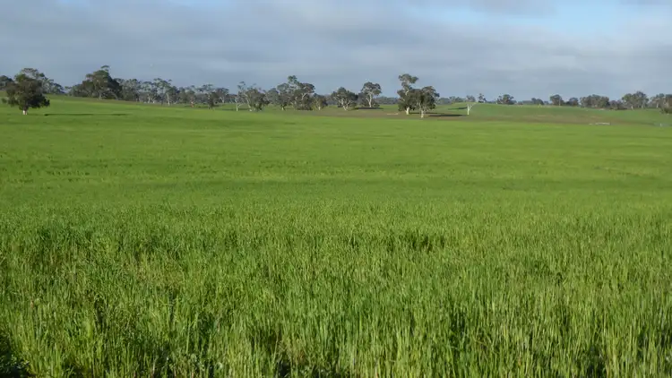 Sixth view of Homely rural property listing, "Wyruna" 2989 Naracoorte Road, Western Flat SA 5268