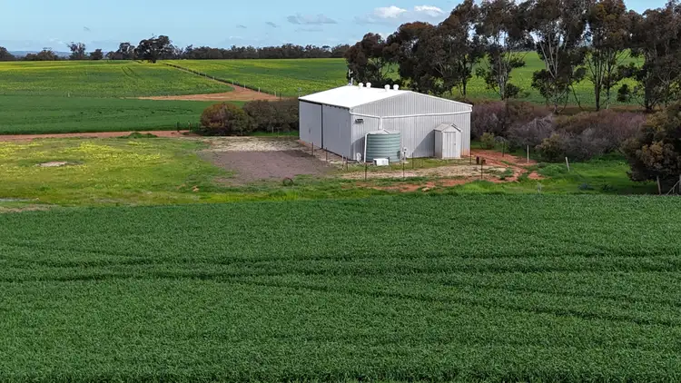 Fourth view of Homely rural property listing, 172 Cowin Road, Melrose SA 5483