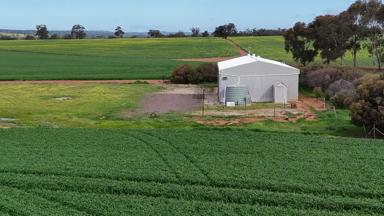 Fifth view of Homely rural property listing, 172 Cowin Road, Melrose SA 5483