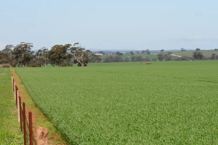 Seventh view of Homely rural property listing, 172 Cowin Road, Melrose SA 5483