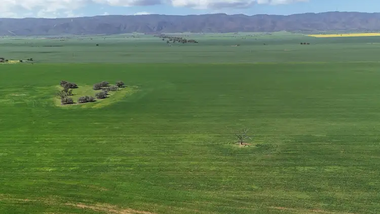 Seventh view of Homely rural property listing, 11N & 11S Noel Smith Road, Telowie SA 5540