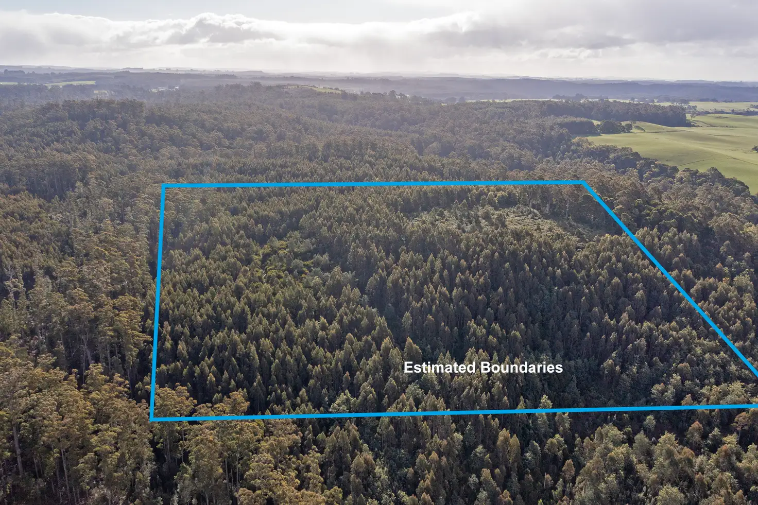 Main view of Homely rural property listing, PID 6191426 South Riana Road, Upper Natone TAS 7321