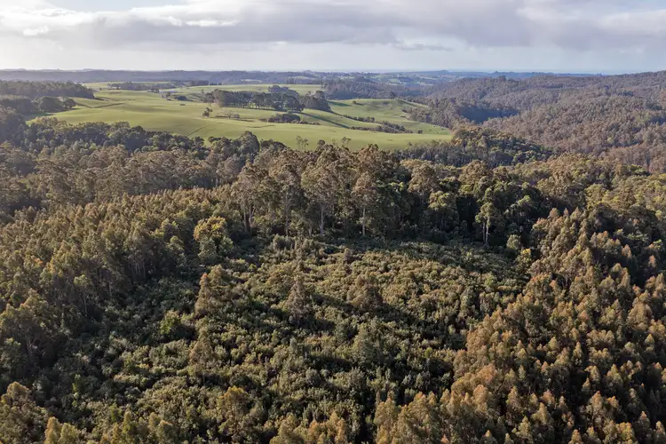 Second view of Homely rural property listing, PID 6191426 South Riana Road, Upper Natone TAS 7321