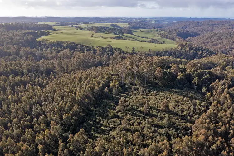 Third view of Homely rural property listing, PID 6191426 South Riana Road, Upper Natone TAS 7321