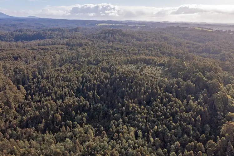 Fourth view of Homely rural property listing, PID 6191426 South Riana Road, Upper Natone TAS 7321