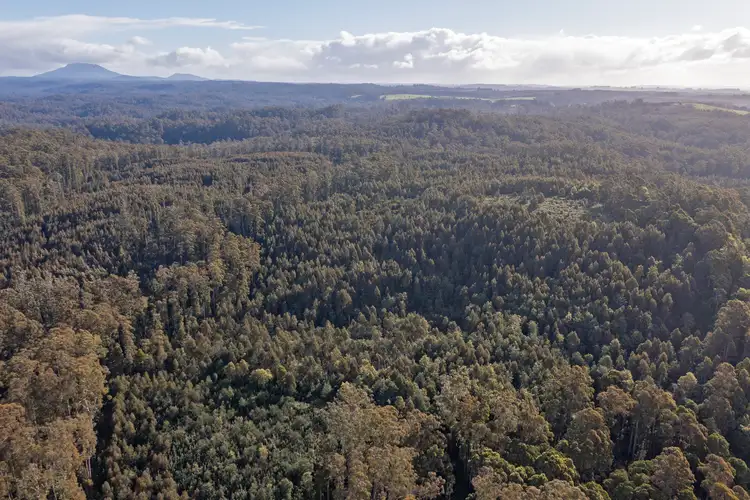 Fifth view of Homely rural property listing, PID 6191426 South Riana Road, Upper Natone TAS 7321