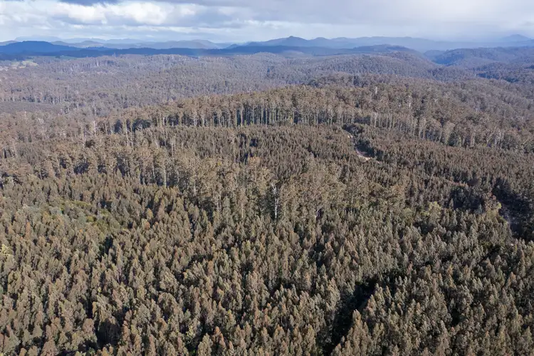 Sixth view of Homely rural property listing, PID 6191426 South Riana Road, Upper Natone TAS 7321