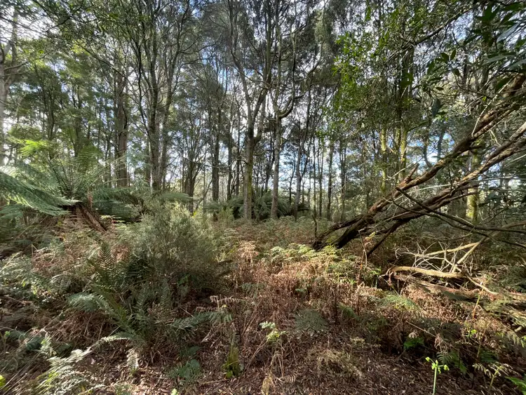 Seventh view of Homely rural property listing, PID 6191426 South Riana Road, Upper Natone TAS 7321