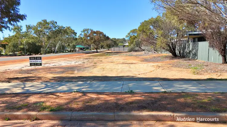 Sixth view of Homely land listing, 1 Forward Street, Goomalling WA 6460